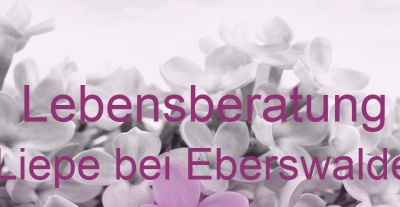 Lebensberatung Liepe bei Eberswalde | Top-Experten für Kartenlegen, Wahrsagen, Hellsehen, Zukunftsdeutung. Lebensberatung Liepe bei Eberswalde | Top-Experten für Kartenlegen, Wahrsagen, Hellsehen, Zukunftsdeutung.
